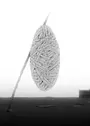 Cocoon