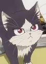 Haru