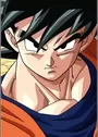 Son, Gokuu