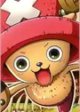 Tony Tony, Chopper