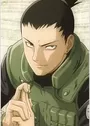 Nara, Shikamaru