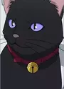 Mao