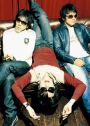 the pillows