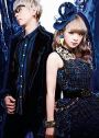 Niehime to Kemono no Ou – Bela e Fera japonês ganha 1º trailer e staff -  IntoxiAnime