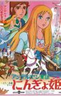 Andersen Douwa: Ningyohime