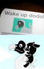 Wake Up! Dodo