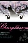 Cherry Blossom