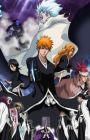Bleach Movie 2: The DiamondDust Rebellion - Mou Hitotsu no Hyourinmaru