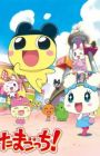 Tamagotchi!