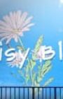 Daisy Blue