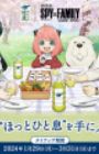 Ayataka Spy x Family Movie Campaign Ayataka de Hotto Hitoiki