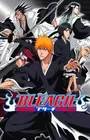 Bleach