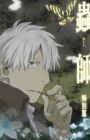Mushishi: Hihamukage