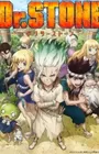 Dr. Stone