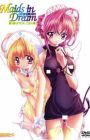 Maids in Dream