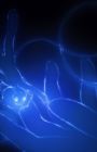 Fade into Blue