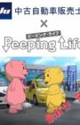 JU Chuuko Jidousha Hanbaishi x Peeping Life