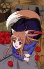 Ookami to Koushinryou II: Holo no Short Anime