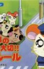 Tottoko Hamtarou no Tottoko Taisetsu!! Koutsuu Rule