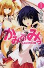 Kaminomi