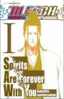 Bleach: Spirits Are Forever with You
