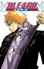 Bleach