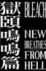 Bleach: Gokui Meimei-hen