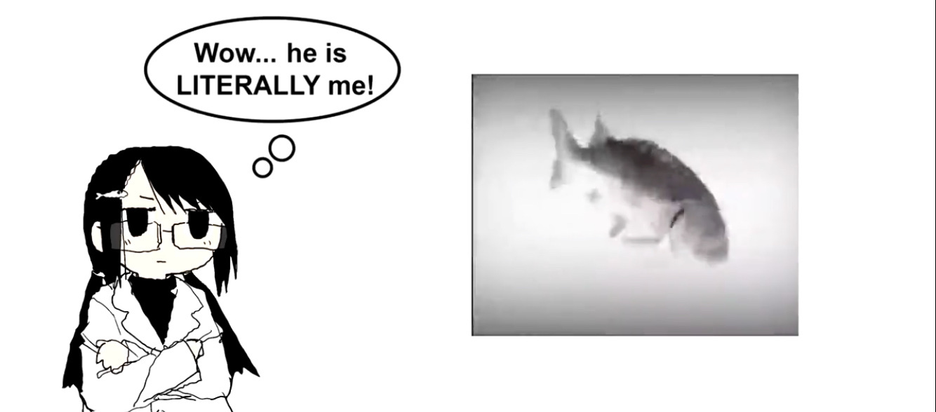 Shimeji Simulation Chapter 45 Discussion Forums