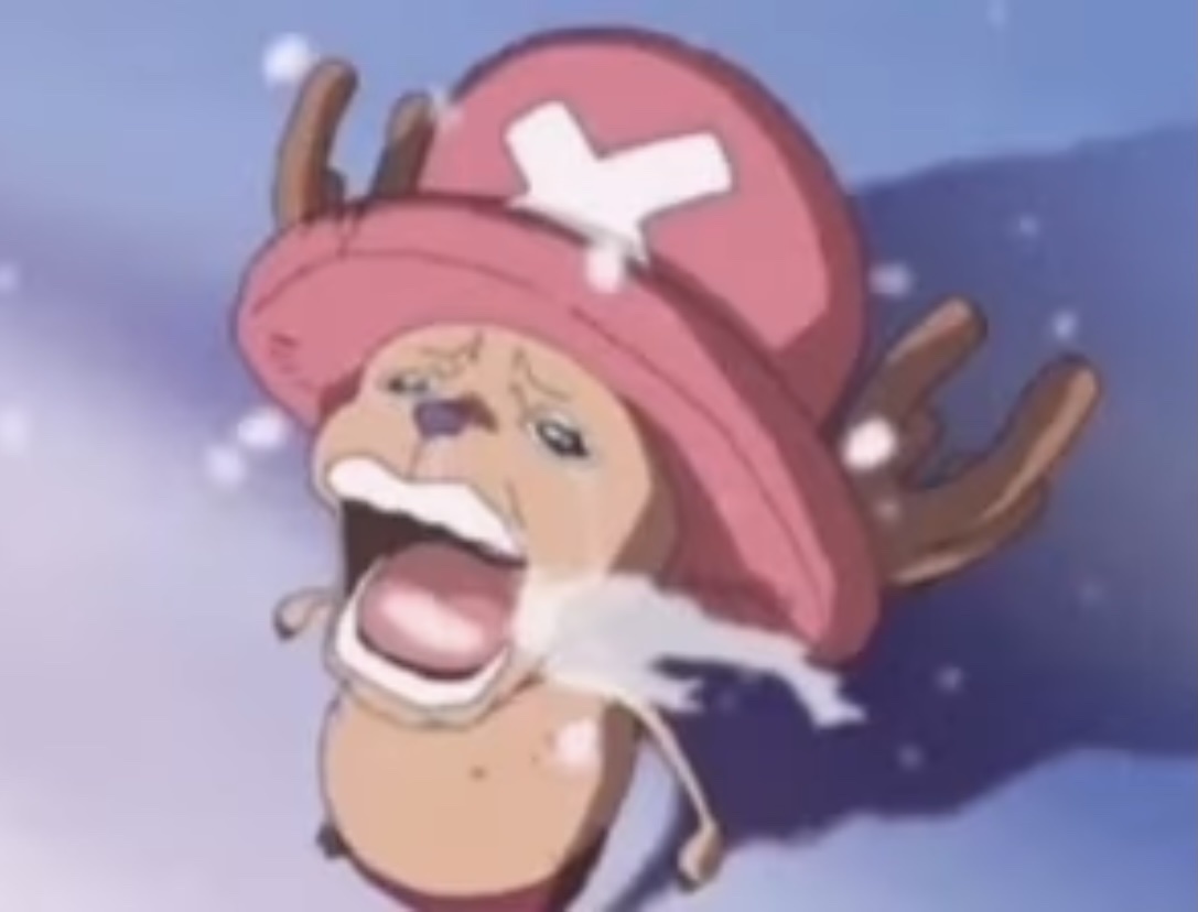 THE ONE PIECE!!!!! Forums