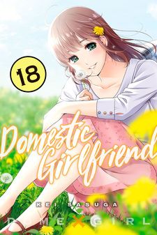 Domestic Girlfriend Volume 21 (Domestic na Kanojo) - Manga Store 