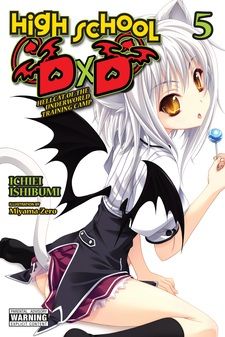 DVD Anime Uncut High School DXD Season 1-4 Series (1-49 End) + 4 OVA  English Dub
