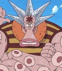 Category:One Piece, Character Profile Wikia