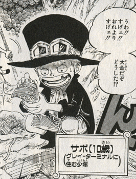 One Piece sabokid