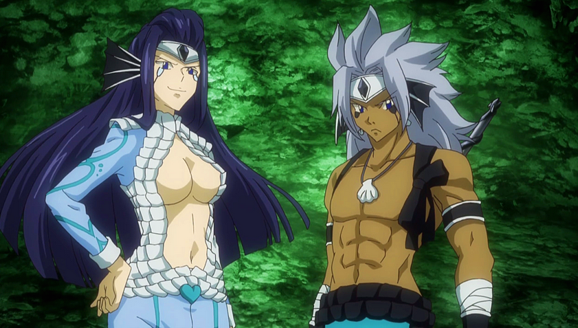 Get acquainted with the Star Signs as they appear in Fairy Tail! 