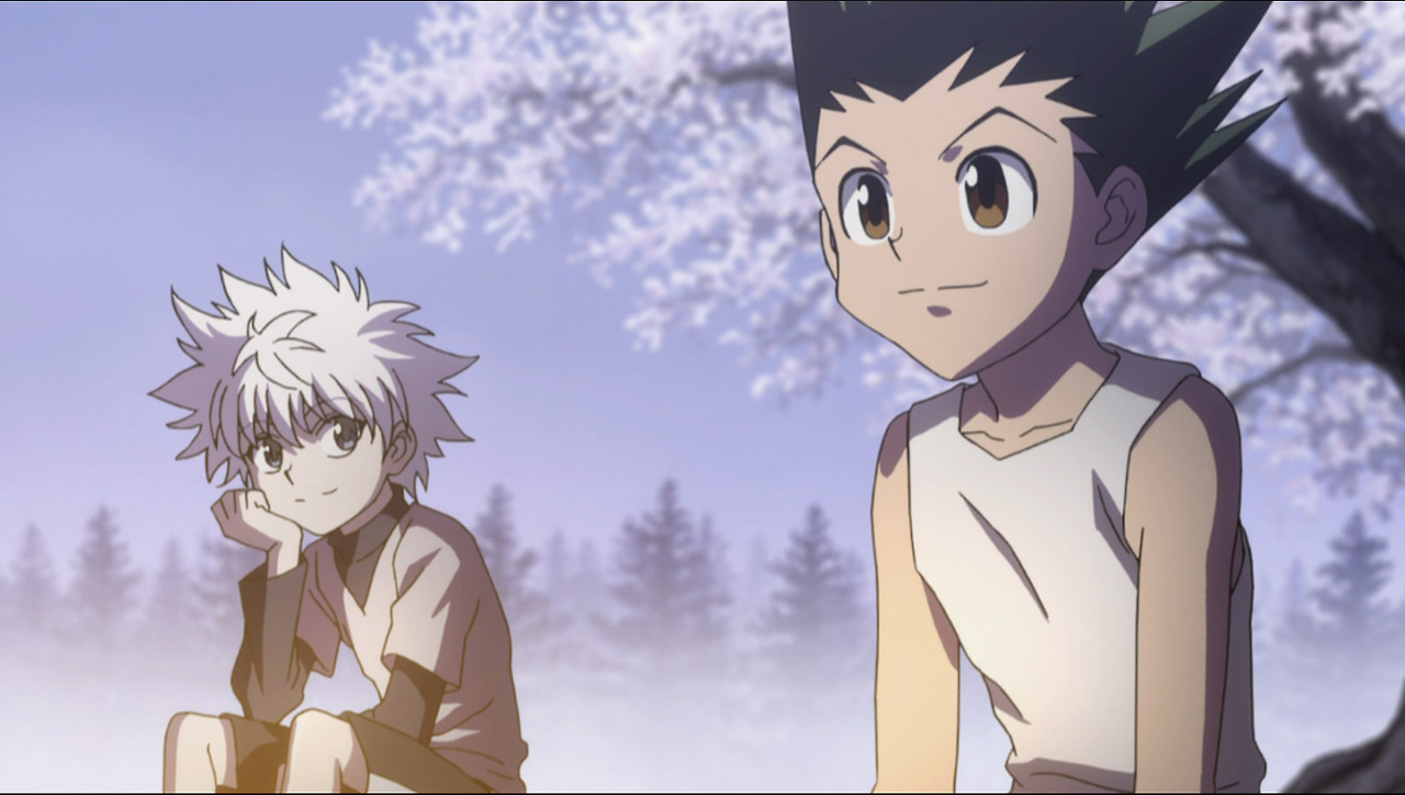 Hunter X Hunter Gon and Killua