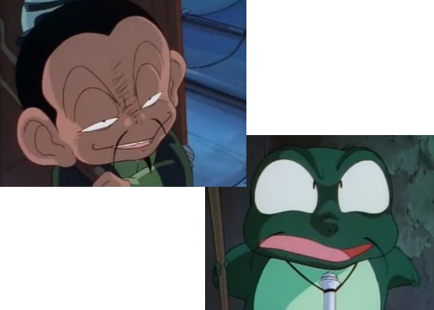 Ranma 1/2 Frog Hermit Before and afte