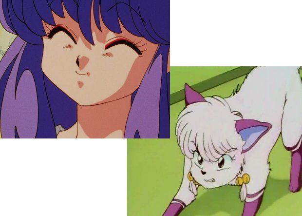 Ranma 1/2 Shampoo Before and afte