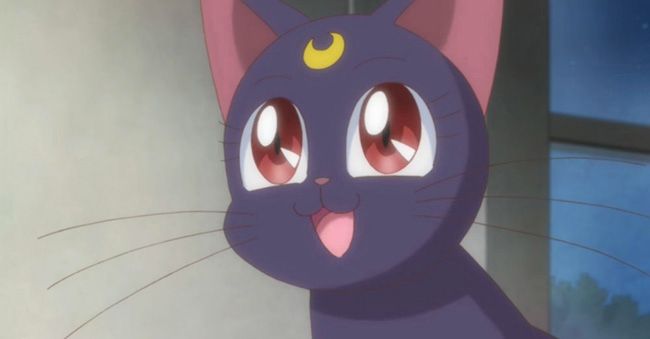 Luna from Sailor Moon Crystal