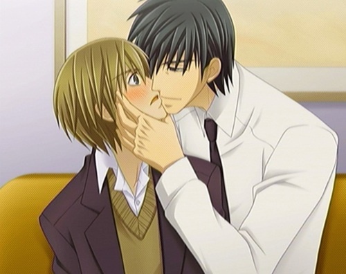 Junjou Romantica 3 Miyagi & Shinobu