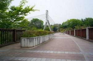 Chichibu Bridge Ano Hi Mita Hana no Namae wo Bokutachi wa Mada Shiranai