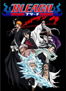 Bleach Cover