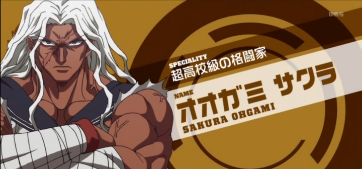 Danganronpa: The Animation Sakura Ogami