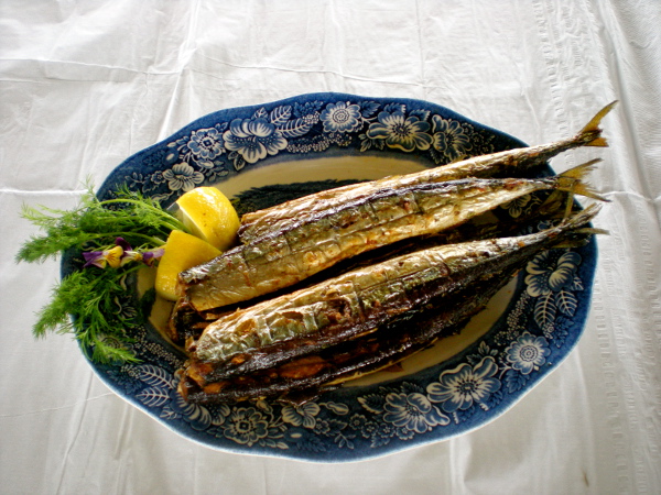 Autumn Japanese Foods Pacific Saury