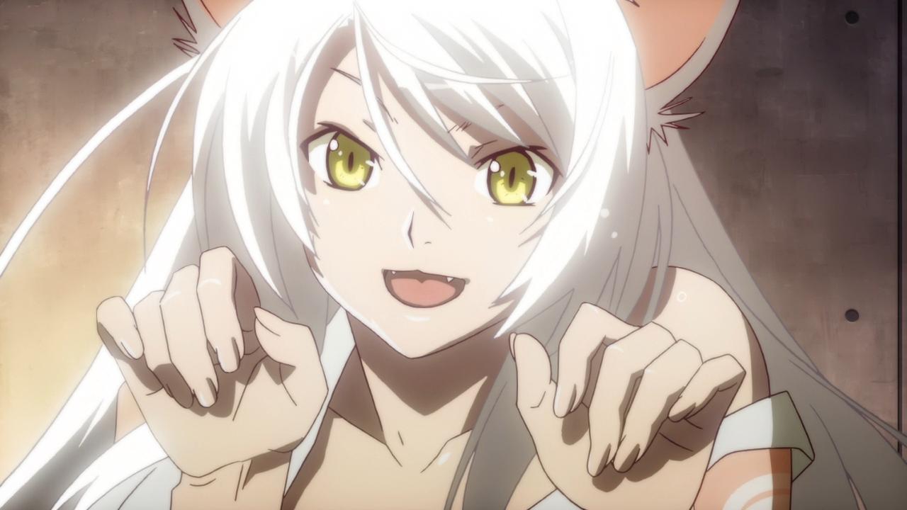  Nisemonogatari Cat