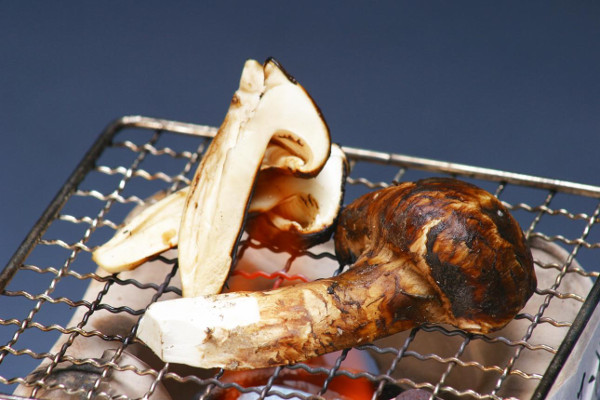 Autumn Japanese Foods Matsutake Mushroom