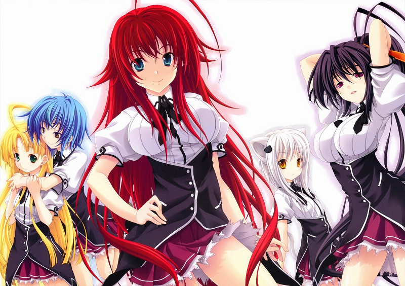 Adult Anime) Top 10 Sexy High School DxD Characters [Hot List]