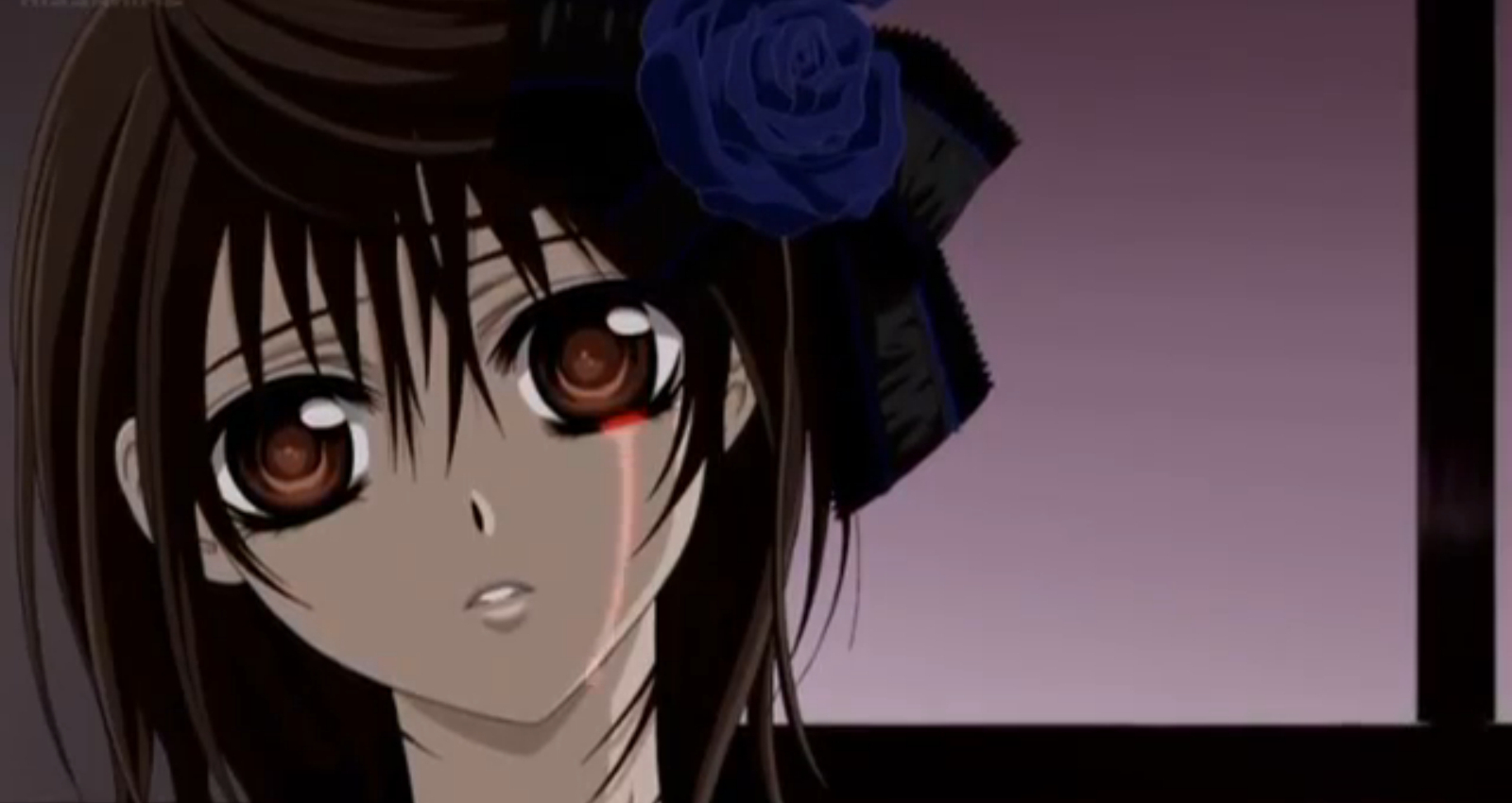 Vampire Knight Yuki Cross