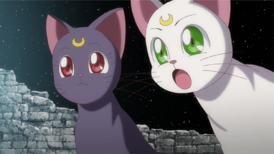 Bishoujo Senshi Sailor Moon Cats