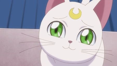Bishoujo Senshi Sailor Moon Crystal Artemis