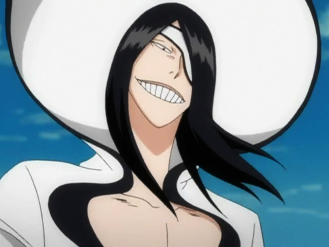 A Guide to the Bleach Characters: Arrancar Saga Edition 